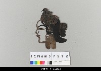 藏品(中國湖北皮影戲偶頭-旦)的圖片